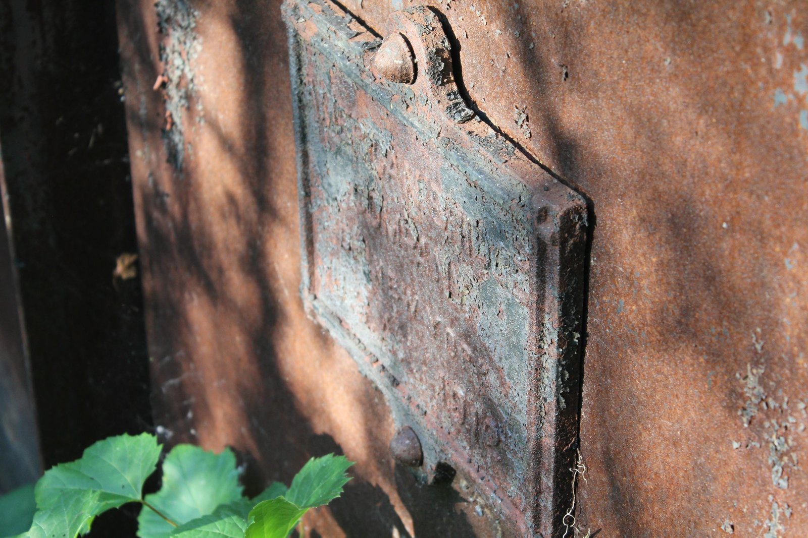 Plaque
